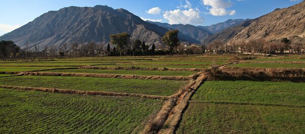 Afghanistan, province de Kounar - Sputnik Afrique