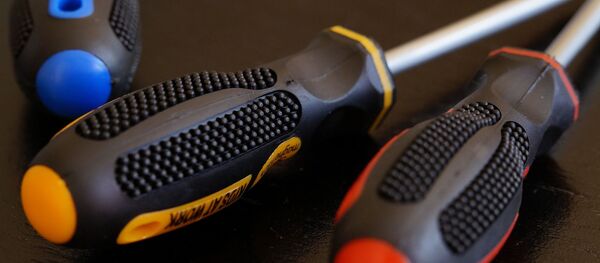 Des tournevis - Sputnik Afrique