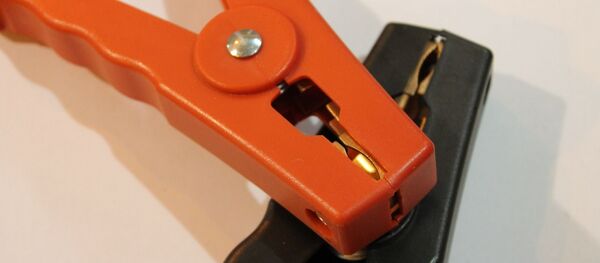 Des pinces  - Sputnik Afrique