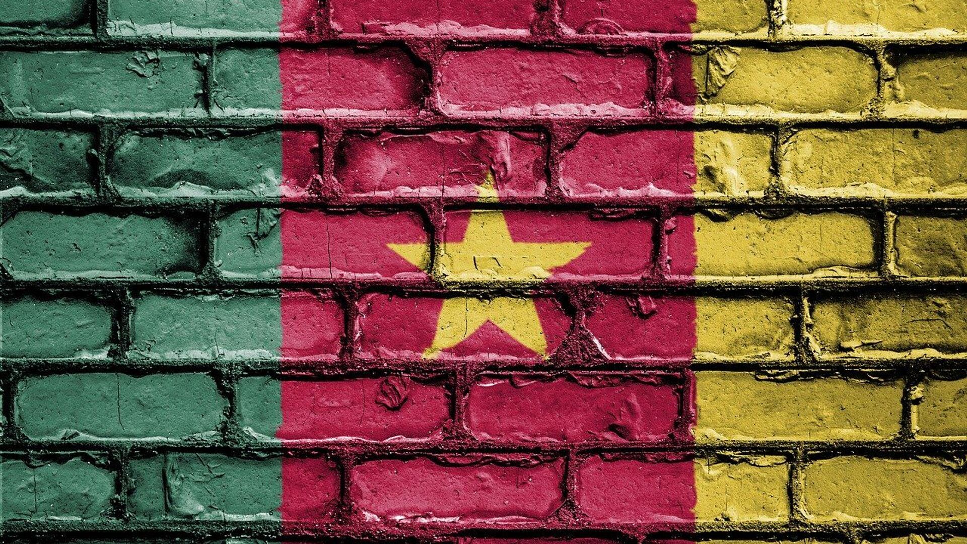 Le drapeau du Cameroun - Sputnik Afrique, 1920, 16.01.2023