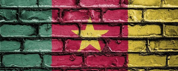 Le drapeau du Cameroun Le drapeau du Cameroun - Sputnik Afrique