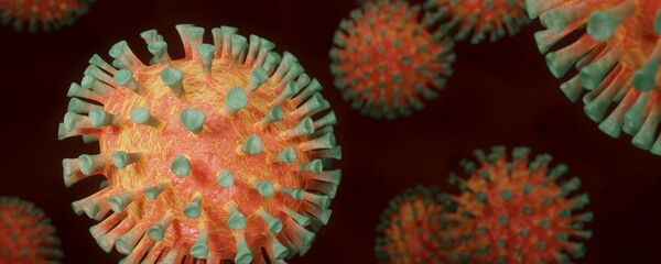 Virus, image d'illustration  - Sputnik Afrique