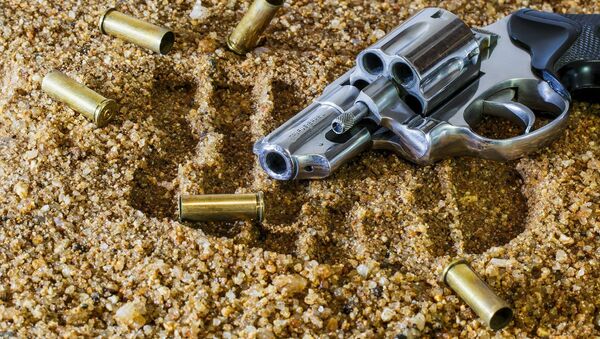 Une arme à feu - Sputnik Afrique