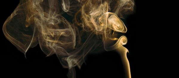 Fumée, odorat - Sputnik Afrique