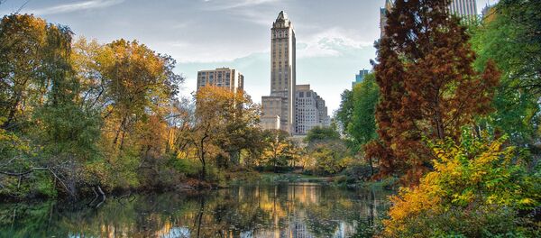 Central Park - Sputnik Afrique