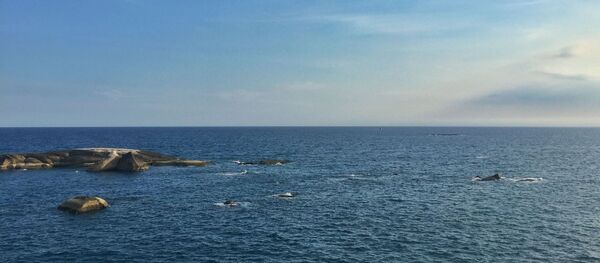 Mer de Chine orientale - Sputnik Afrique