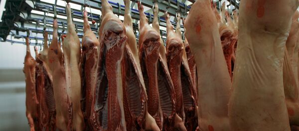 porc - Sputnik Afrique