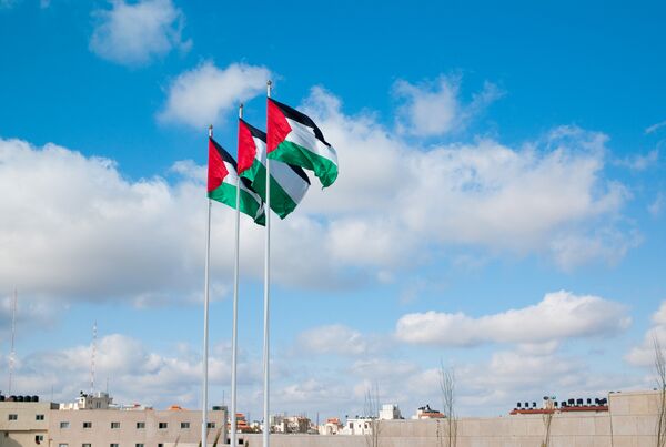 Report des élections générales palestiniennes (CEC) - Sputnik Afrique