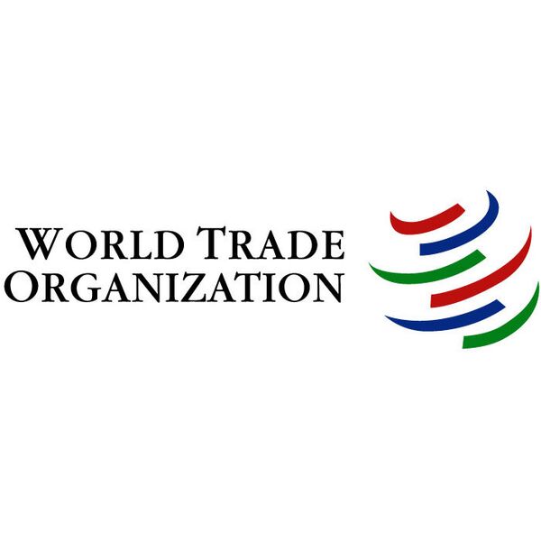 OMC: achever les négociations d'adhésion en 2010 (Medvedev) - Sputnik Afrique