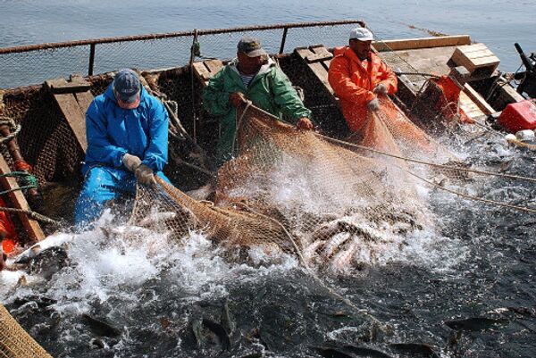 Pêche: hausse notable des prises russes en 2009 (officiel) - Sputnik Afrique