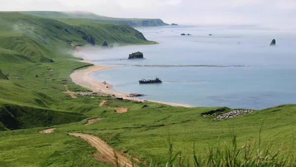The Kuril Islands - Sputnik Afrique