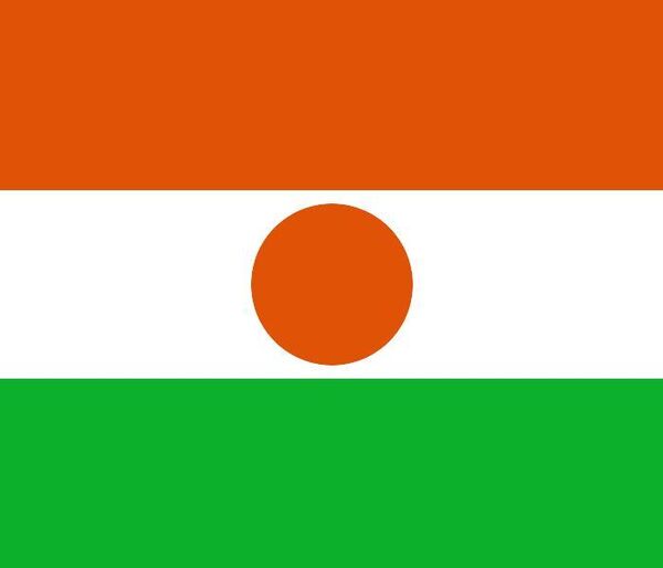 Coup d'Etat au Niger: le président Tandja enlevé (médias)  - Sputnik Afrique