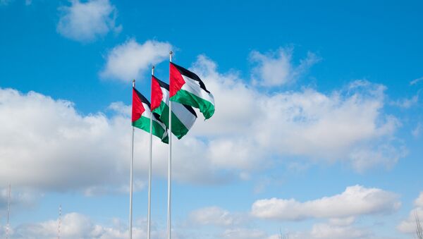 Флаги Палестины - Sputnik Afrique