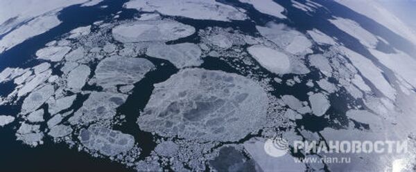 Arctique: les habitants du silence glacial - Sputnik Afrique