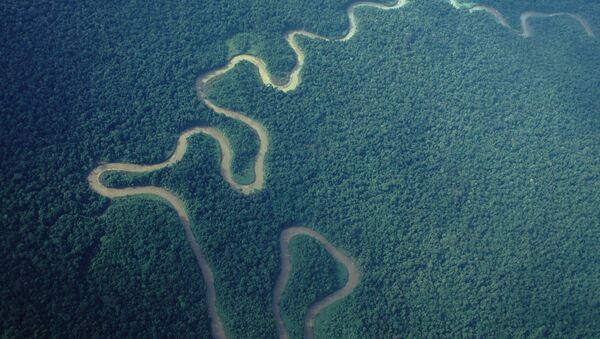 Река Мамберамо в индонезийской части острова Новая Гвинея - Sputnik Afrique