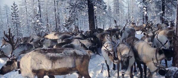 Rennes - Sputnik Afrique