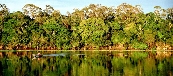Amérique du sud - Sputnik Afrique