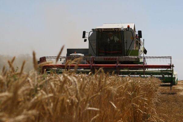 La Russie interdit l'exportation de blé - Sputnik Afrique