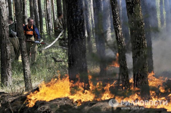 Voronej assiégée par les feux de forêt - Sputnik Afrique
