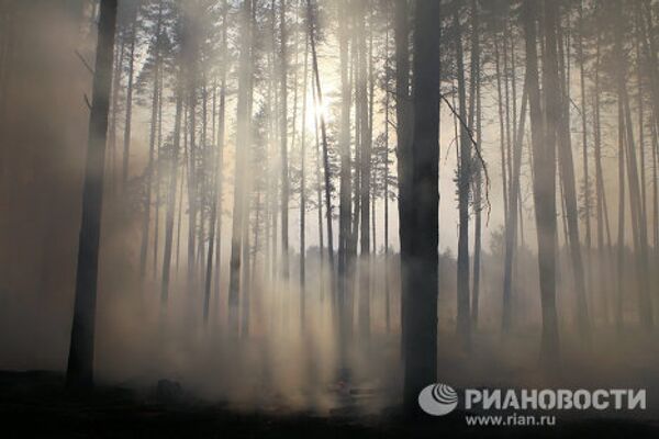 Lutte contre les incendies naturels en Russie centrale - Sputnik Afrique