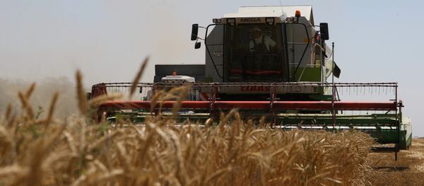 la récolte - Sputnik Afrique