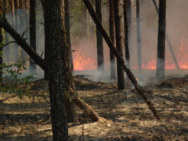 160 hectares de forêts et de tourbières en feu près de Moscou - Sputnik Afrique