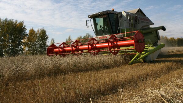 Sécheresse en Russie: pas d'incidence sur les réserves mondiales de blé - Sputnik Afrique