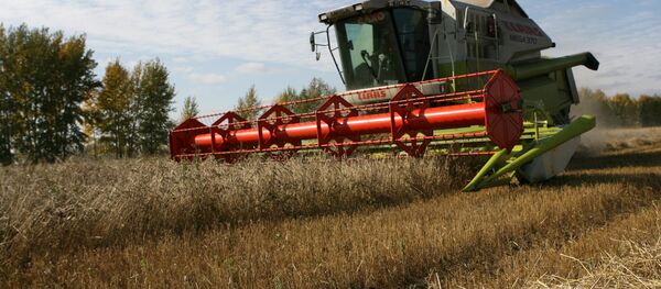 la récolte de blé - Sputnik Afrique