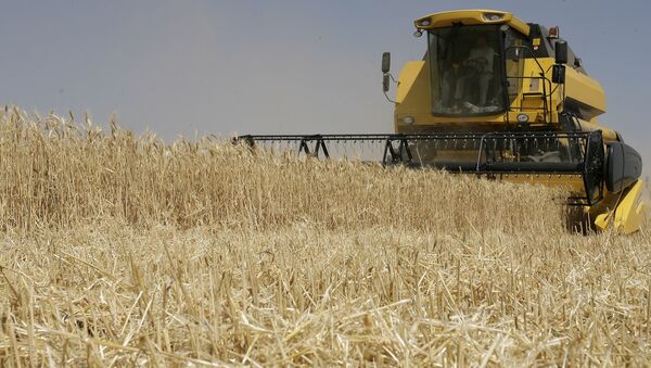 Récolte de blé dans la région russe de Rostov-sur-le-Don - Sputnik Afrique