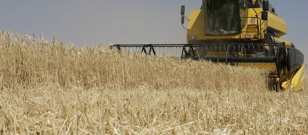 Récolte de blé dans la région russe de Rostov-sur-le-Don - Sputnik Afrique