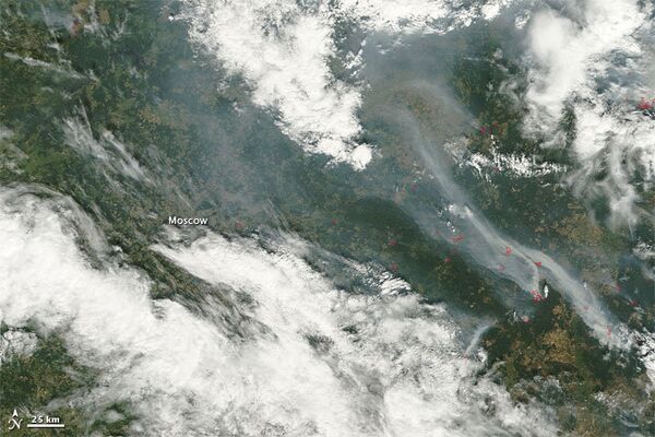 Incendies en Russie: la fumée a atteint la stratosphère - Sputnik Afrique