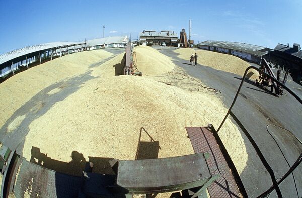 Céréales: possible gel des exportations de trois pays de l'ex-URSS - Sputnik Afrique
