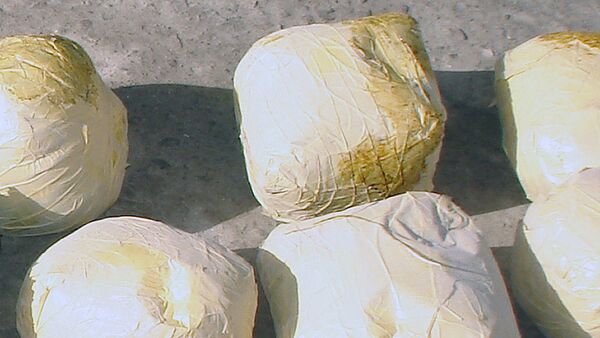 Drogue: soixante kilos de haschisch saisis à Saint-Pétersbourg - Sputnik Afrique