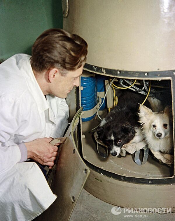 Belka, Strelka et les autres chiens de l’espace - Sputnik Afrique