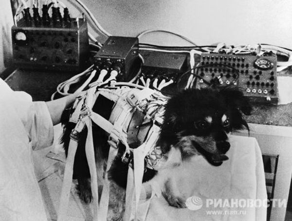 Belka, Strelka et les autres chiens de l’espace - Sputnik Afrique
