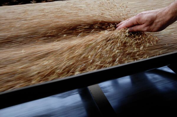 La Russie fournira 100.000 tonnes de blé à la Libye (compagnie) - Sputnik Afrique