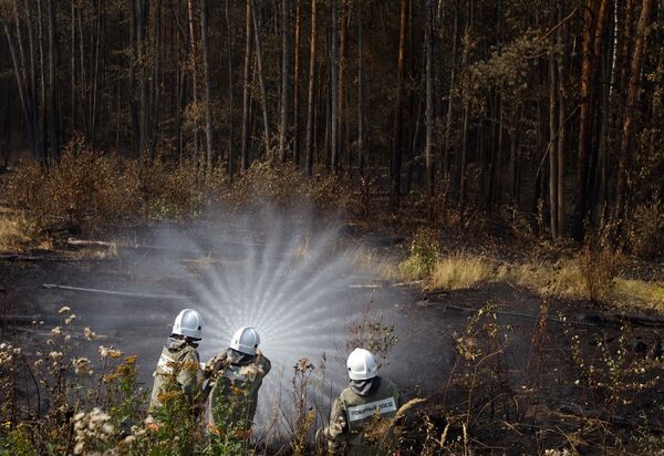 Russie: la superficie des incendies diminuée de 2.000 ha - Sputnik Afrique