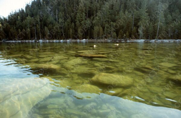 Lac Baïkal, le plus profond et le plus pur sur la Terre - Sputnik Afrique