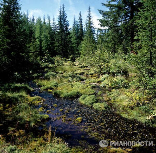 Lac Baïkal, le plus profond et le plus pur sur la Terre - Sputnik Afrique