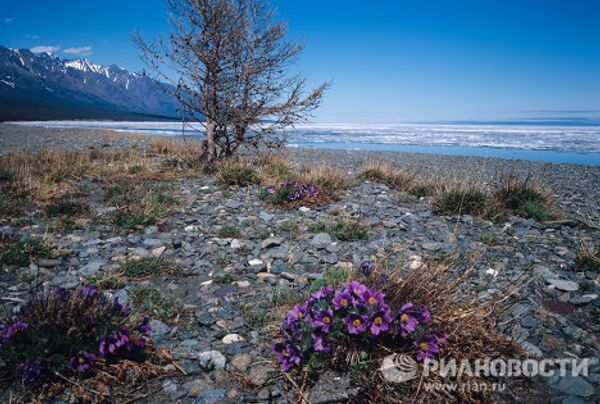 Lac Baïkal, le plus profond et le plus pur sur la Terre - Sputnik Afrique