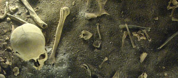 Les fouilles archéologiques - Sputnik Afrique