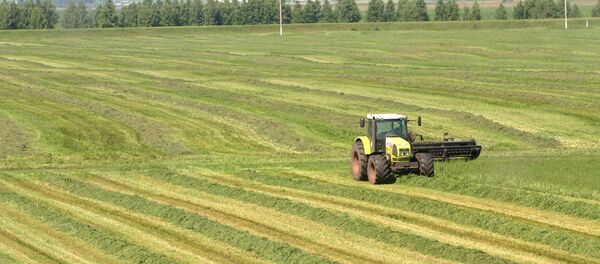 Une fenaison au Tatarstan - Sputnik Afrique