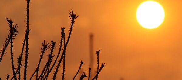 Пожары недалеко от Нововоронежской АЭС - Sputnik Afrique