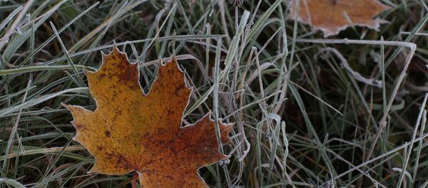 Золотая осень - Sputnik Afrique