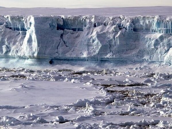 Antarctique: pays de glace et de manchots  - Sputnik Afrique