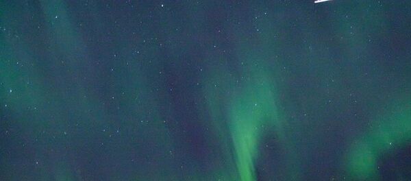 Aurore boréale Aurore boréale - Sputnik Afrique