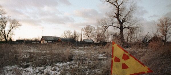 Zone d'exclusion de Tchernobyl - Sputnik Afrique