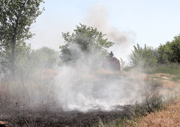 Russie: la superficie des incendies naturels en hausse de 20% - Sputnik Afrique