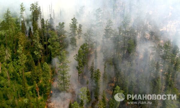 Lutte contre les feux de forêt en Sibérie - Sputnik Afrique