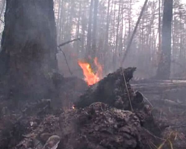 Iakoutie: des centaines de volontaires luttent contre les incendies naturels - Sputnik Afrique
